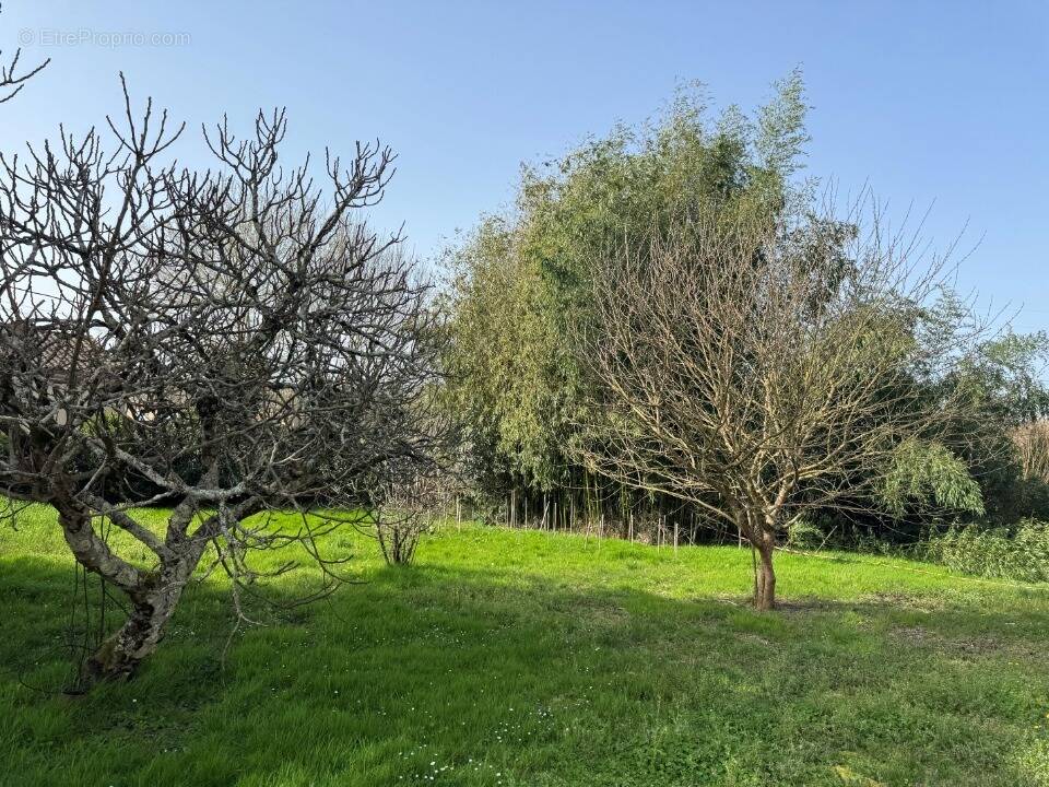 Terrain à ANDERNOS-LES-BAINS