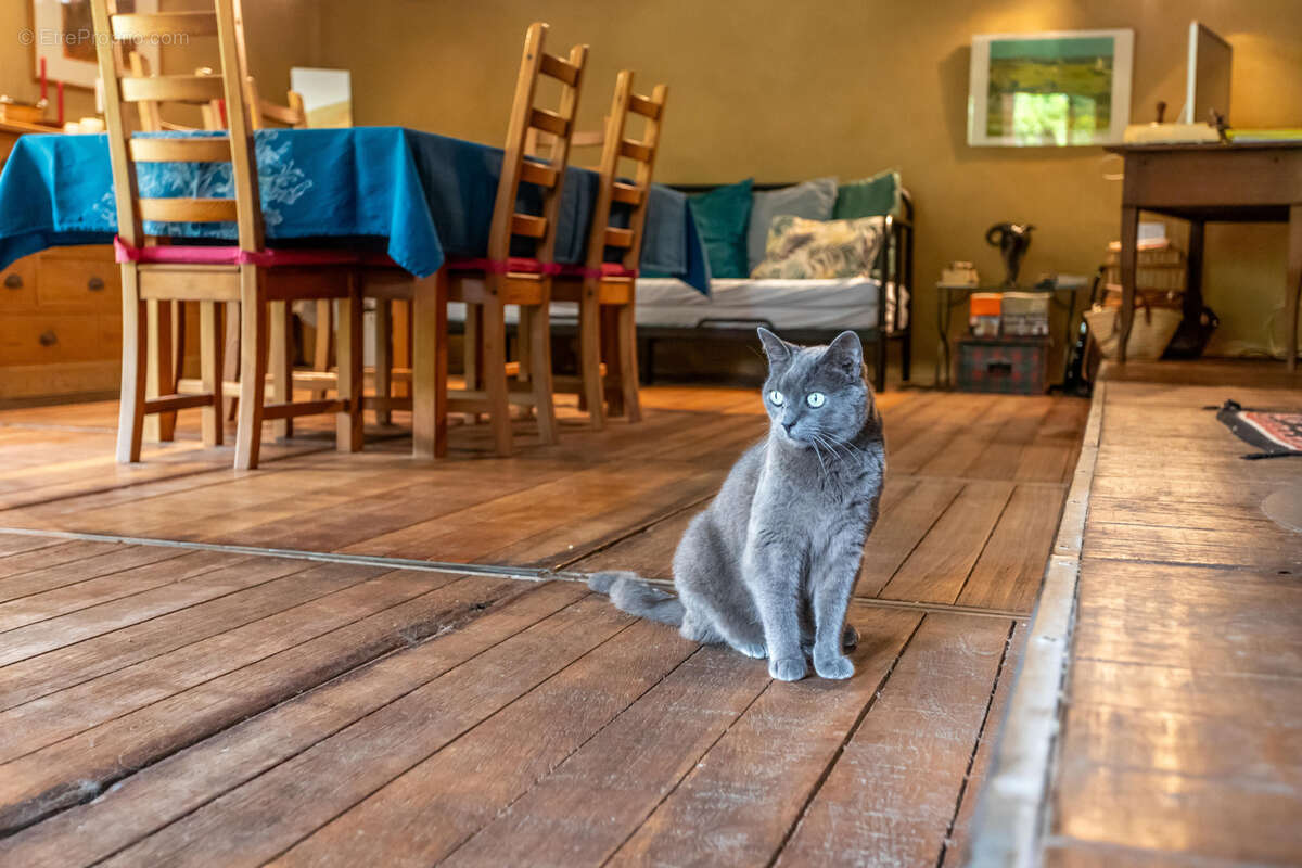 Propriété de campagne avec gîte et piscine - photo 17