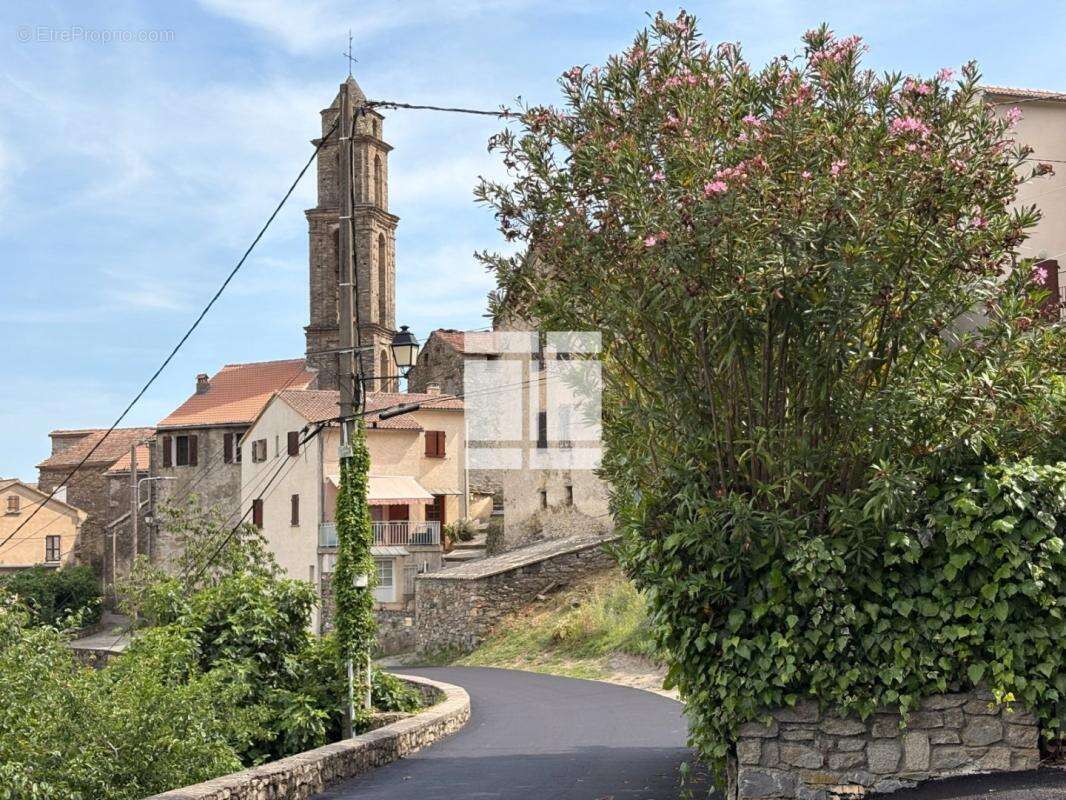Maison de village coup de coeur - castellare di mercurio - photo 15