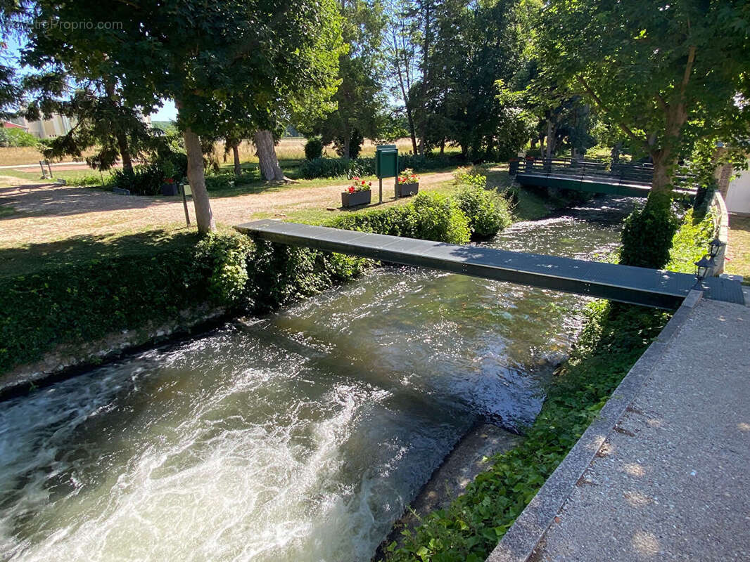 Etang Saint Lubin Des Joncherets - photo 18