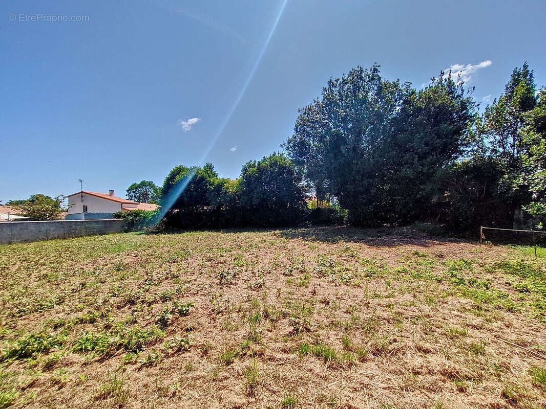 Terrain à DOMPIERRE-SUR-MER