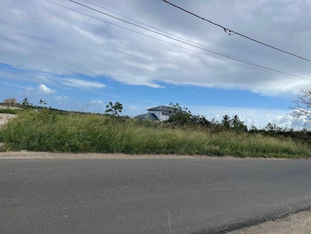 Terrain à SAINT-FRANCOIS