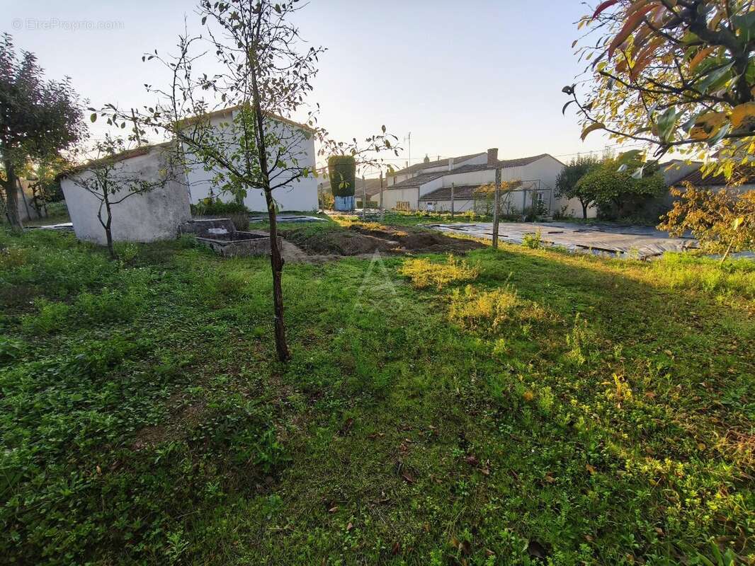 Terrain à TILLIERES