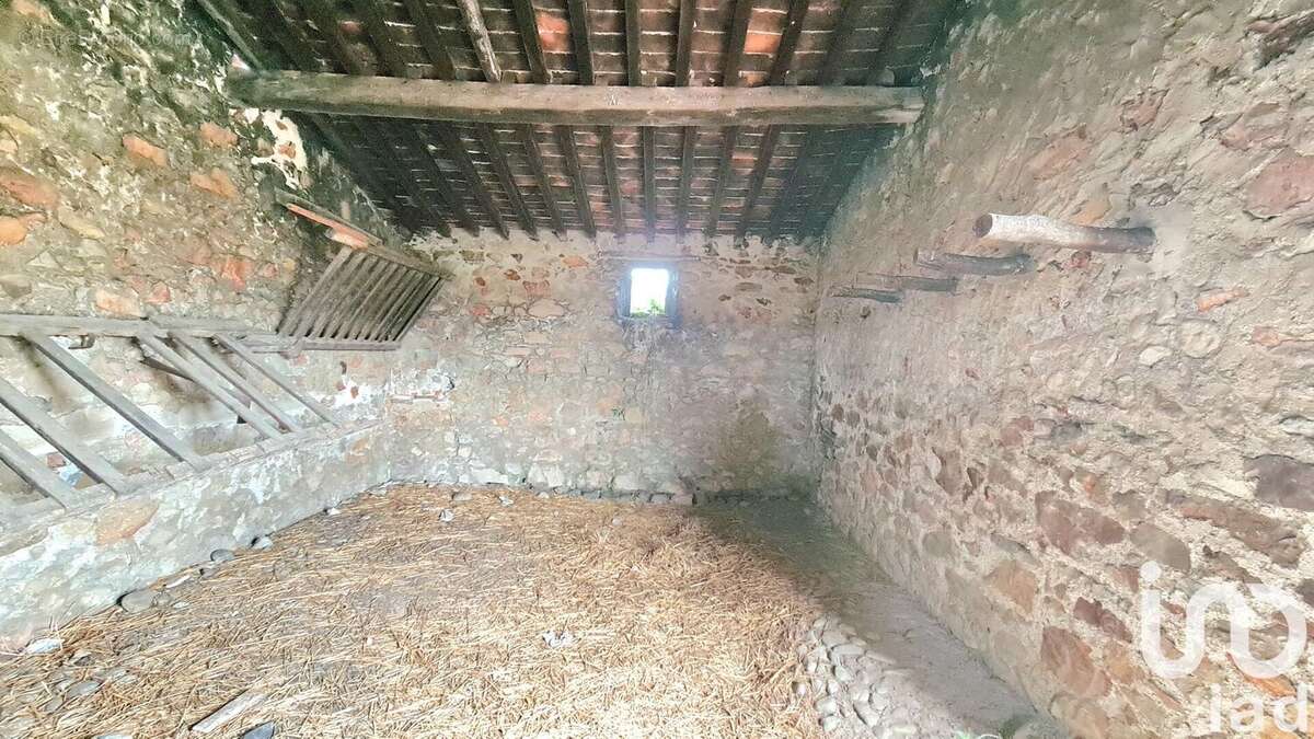 Photo 6 - Terrain à TAUTAVEL