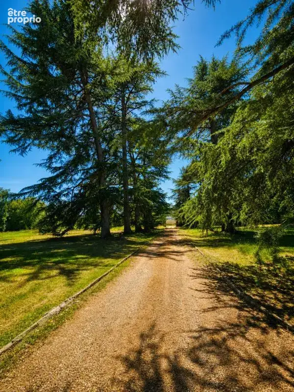 Propriété de 12 pièces de 820 m² à Samazan - photo 4