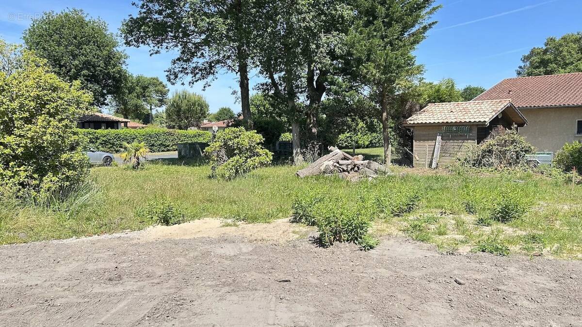 Terrain à SEIGNOSSE