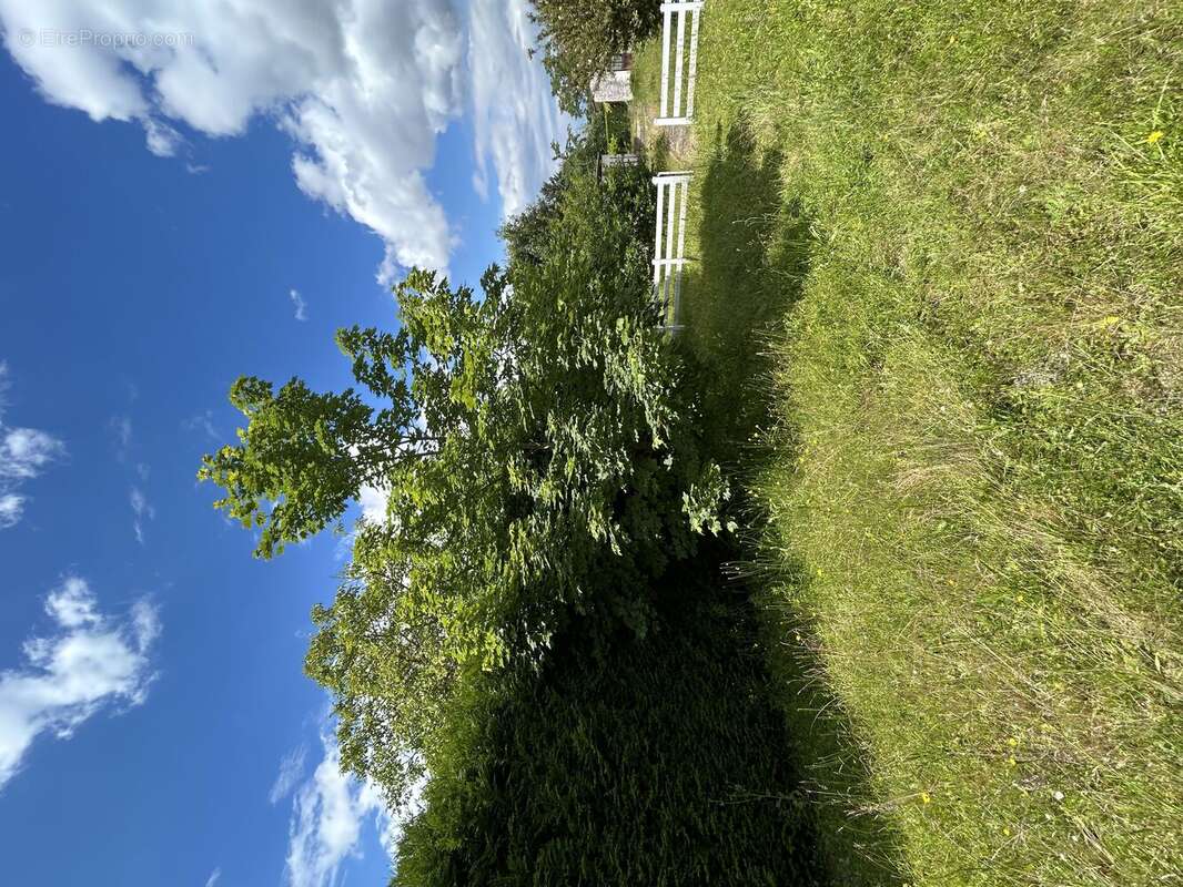 Terrain à BORNEL