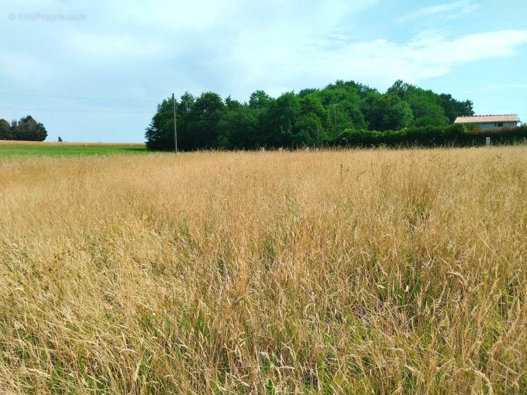Terrain à MERIGNAC