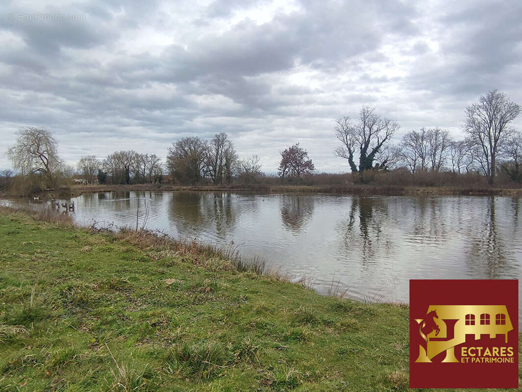 Maison à NEUVILLE-LES-DAMES