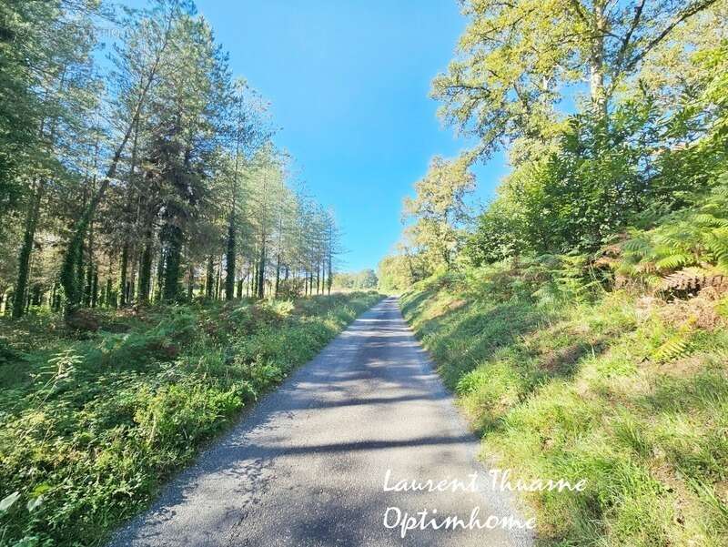 Terrain à SARLAT-LA-CANEDA