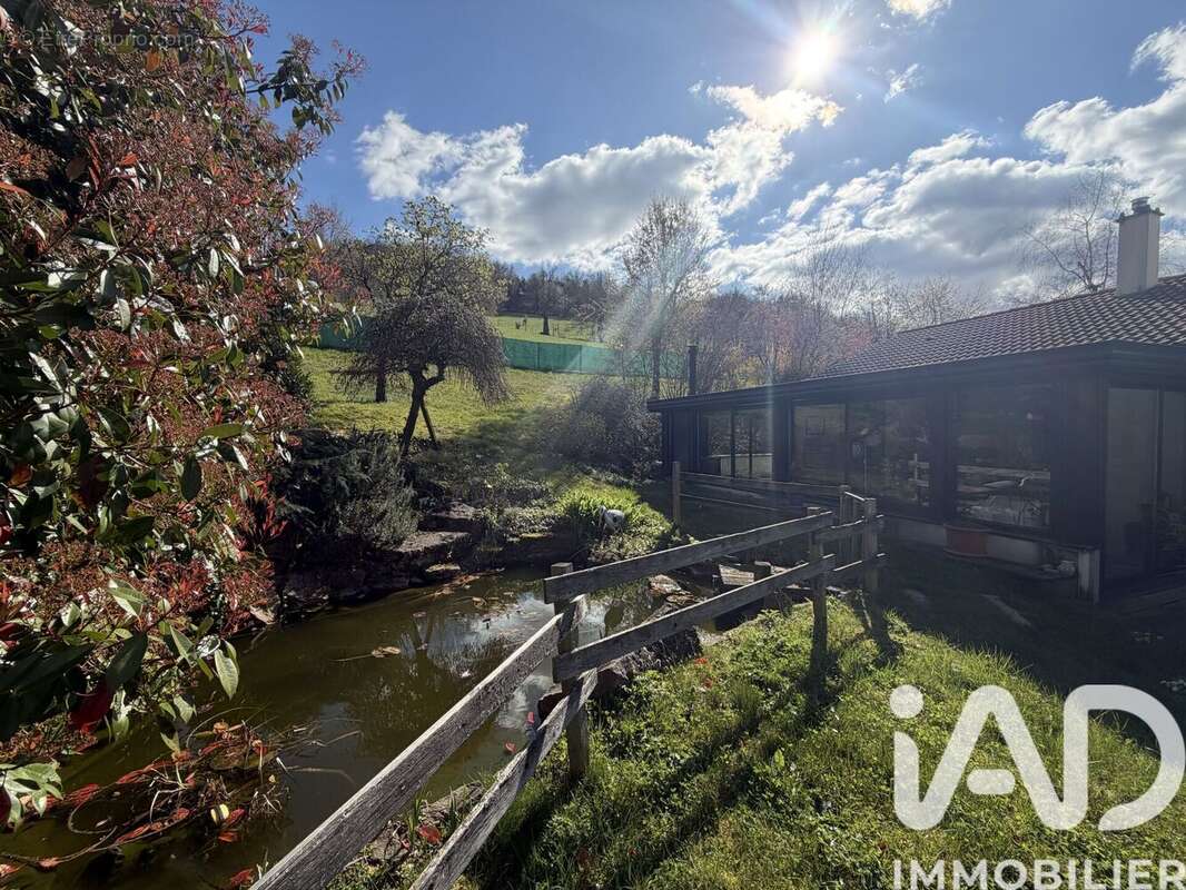 Photo 9 - Maison à SAINT-PRIEST-EN-JAREZ