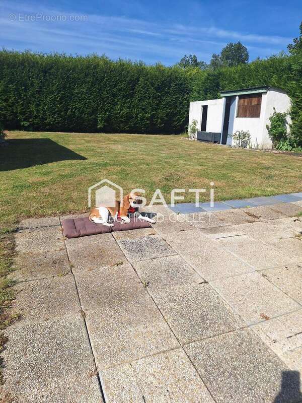 Photo 5 - Maison à CRIEL-SUR-MER