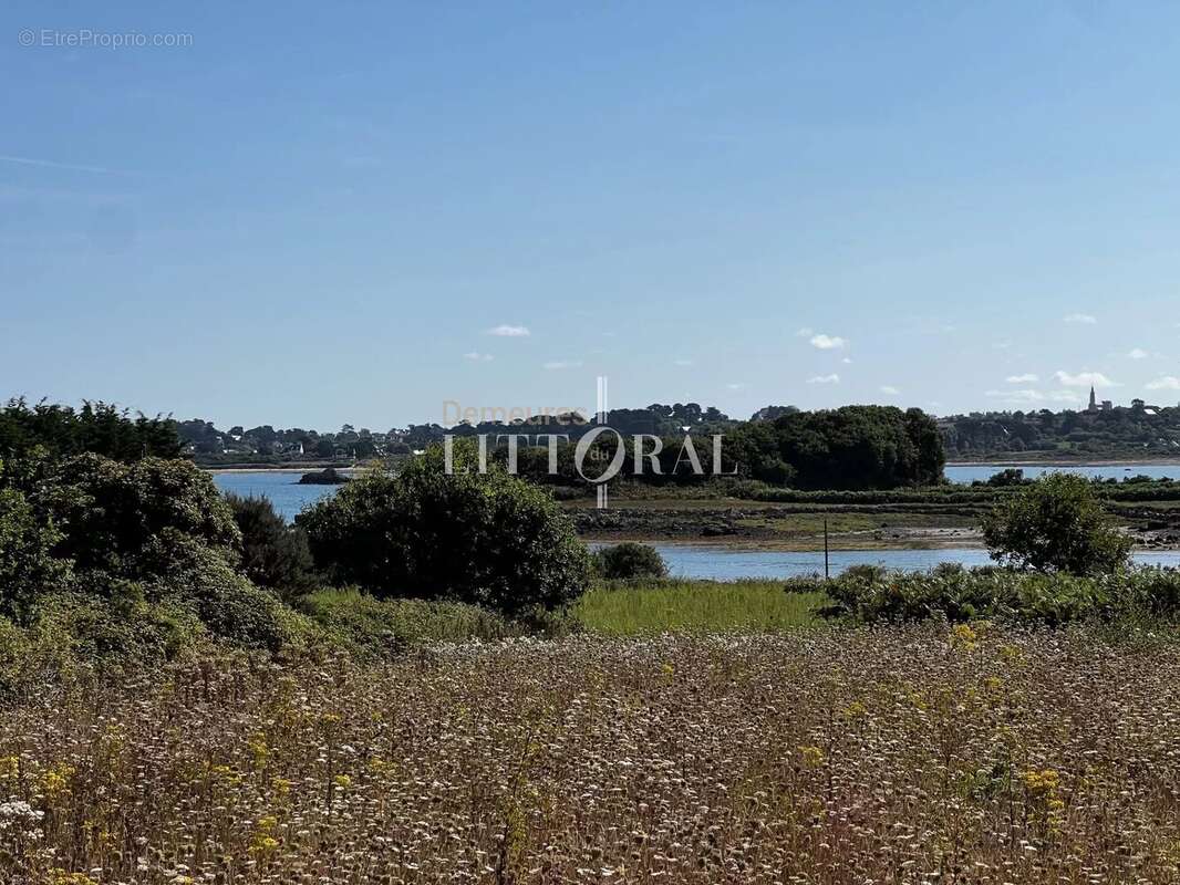 Côte des Ajoncs - Elégante propriété contemporaine - photo 2