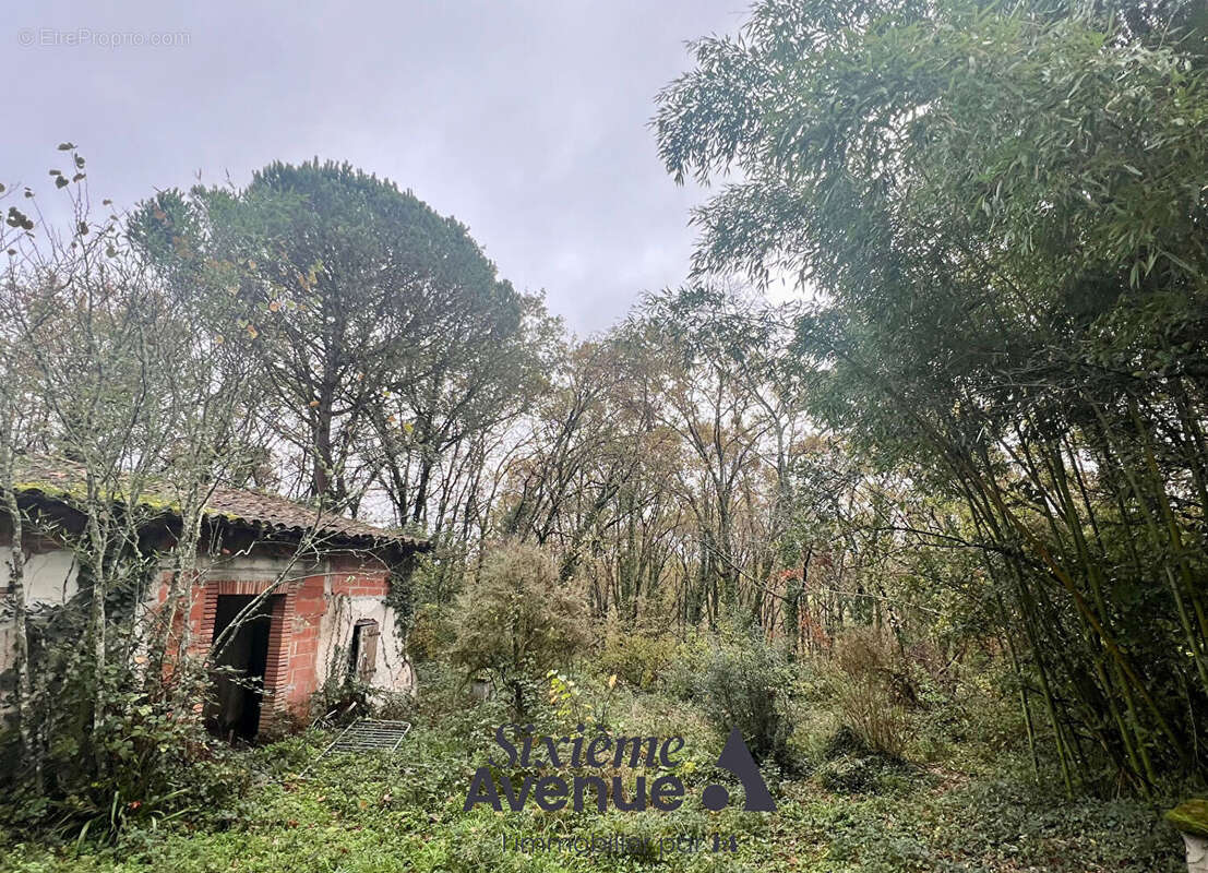 Terrain à MONTAUBAN