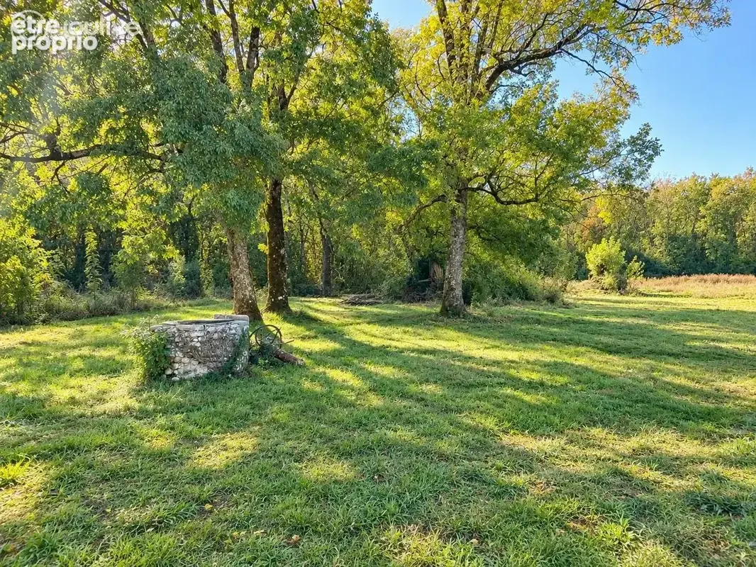 Maison 5 pièces 219 m² à vendre à Mirambeau (17150) - photo 3