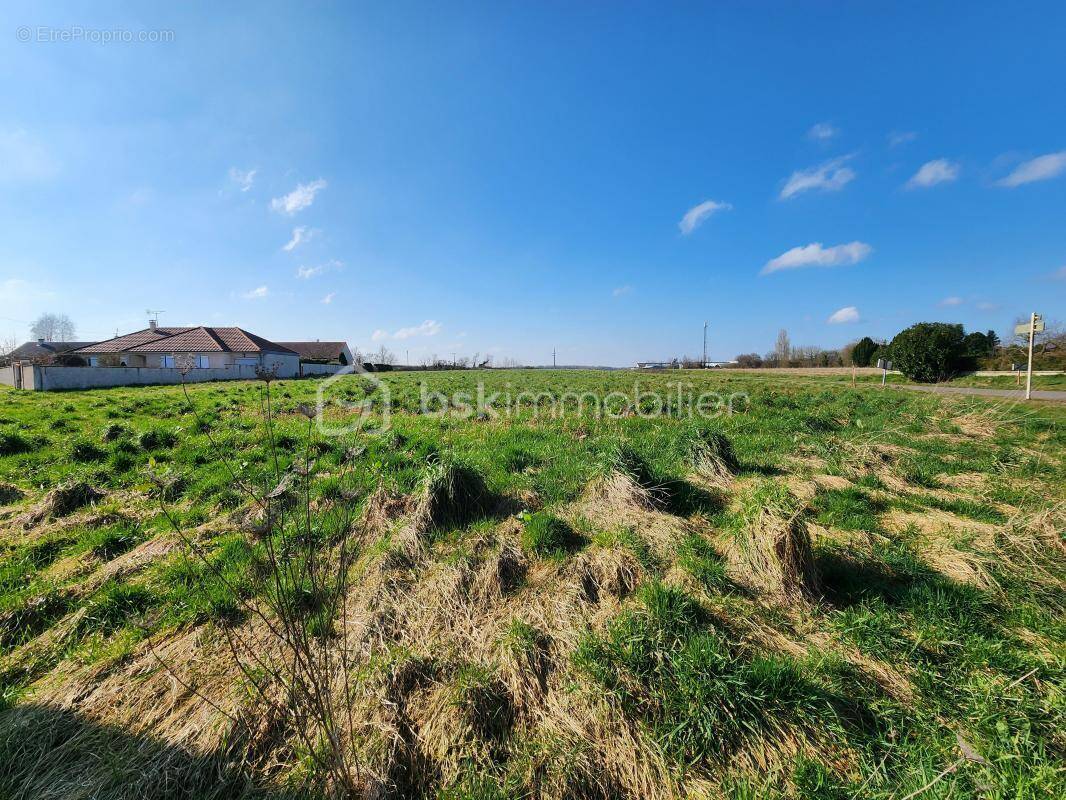 Terrain à SEURRE