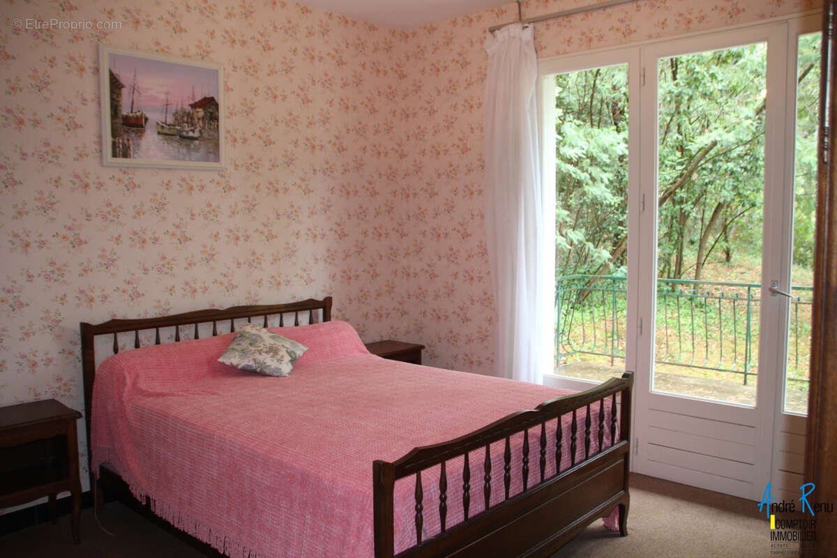 Parc de Suzac, grande maison familiale - photo 9