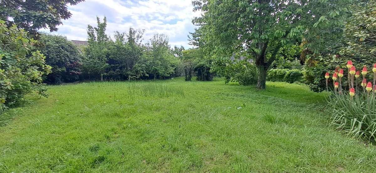 Maison à SAINT-OUEN-DES-TOITS