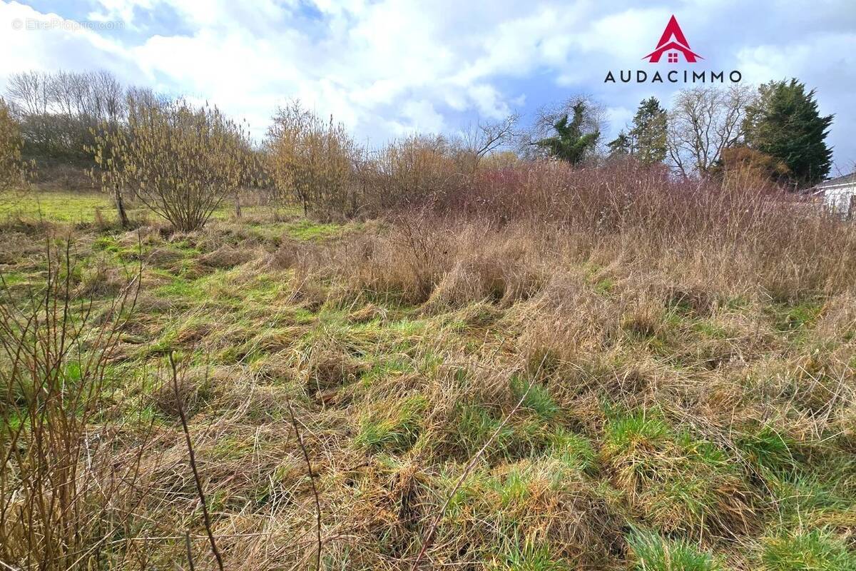 Terrain à DIEULOUARD