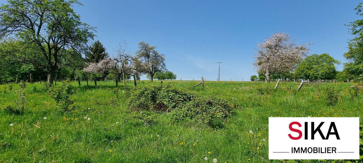Terrain à SAINT-JEAN-KOURTZERODE