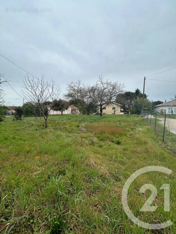 Terrain à BUZET-SUR-BAISE