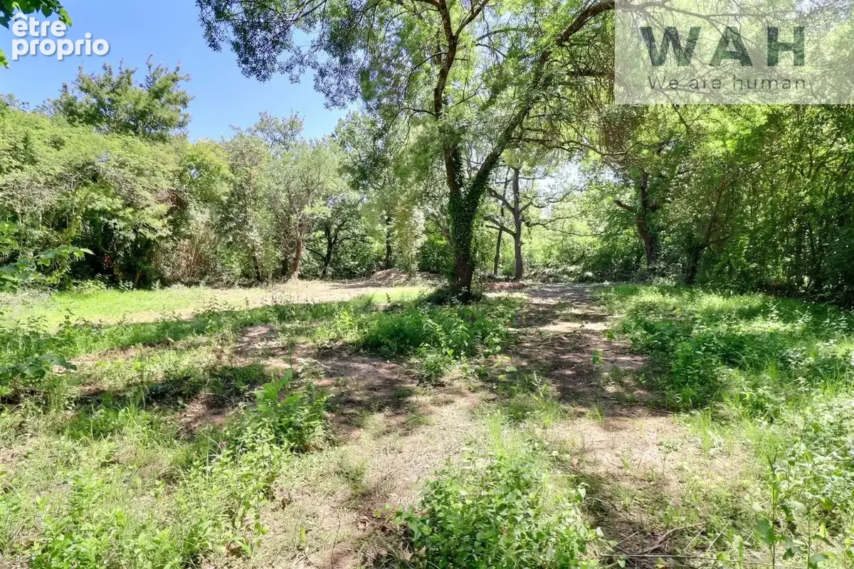  MAISON de PLAIN PIED 8P 162 m2 avec jardin 4531 m2 à Fontan - photo 8