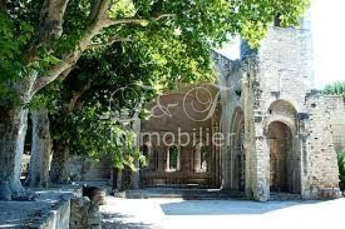Commerce à AVIGNON