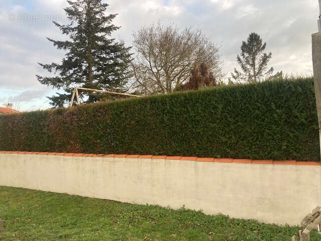 Terrain à SAINT-MICHEL-CHEF-CHEF