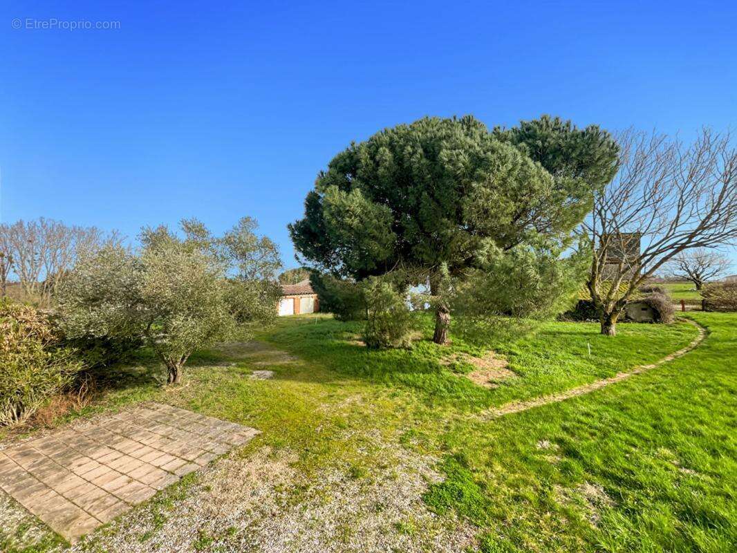 EXCLUSIF À MONTJOIR : Propriété de Caractère de 260 m² ? DPE A - photo 16