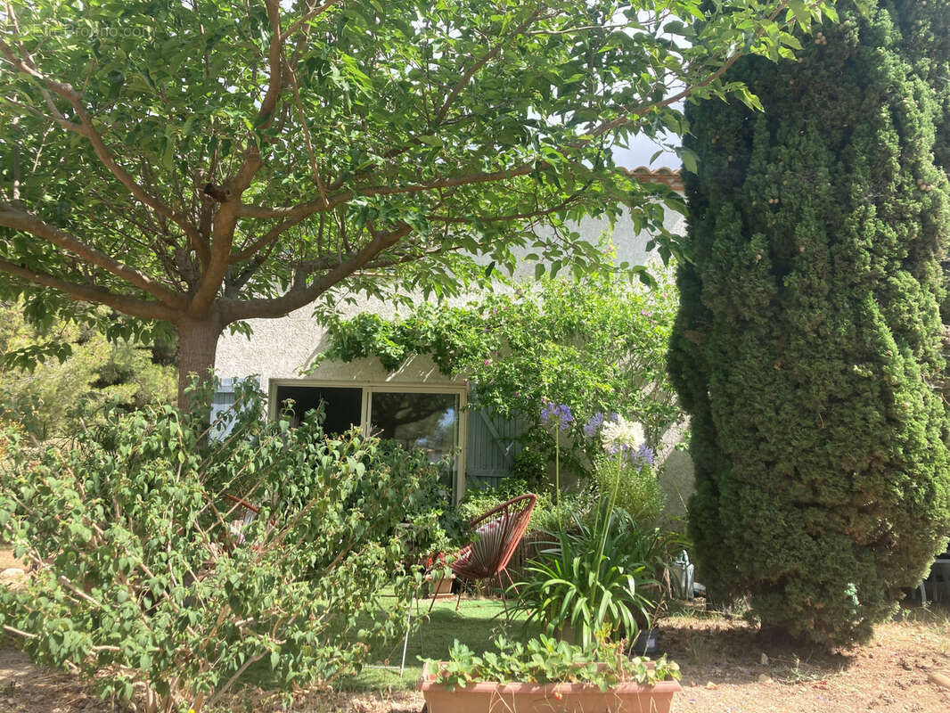 Gruissan, à 3kms des plages, maison de caractère rénovée avec 5 chambres, sur un parc de 2,5 hectares, avec pi - photo 24