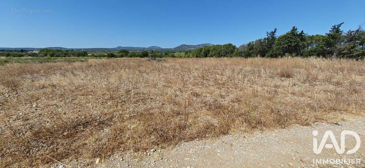Terrain 595 m² à La Palme  - photo 2