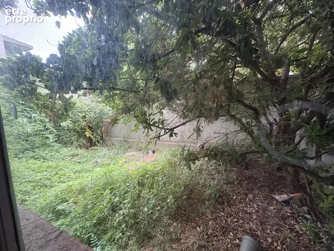 Local commercial RDC avec jardin et cave - photo 8