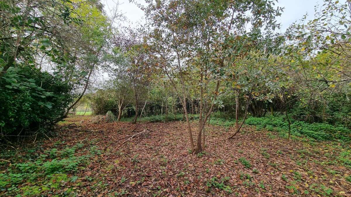 Maison à SAINT-FELIX-DE-VILLADEIX