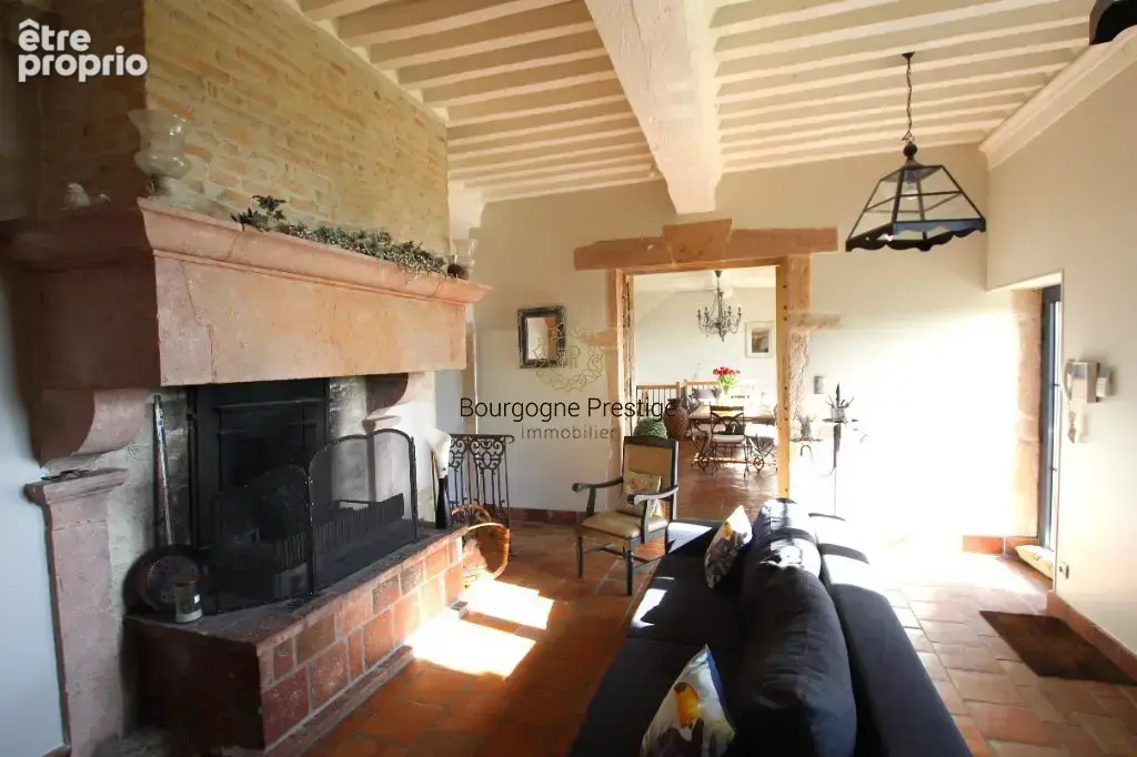 Propriete de prestige du xviiie siecle a tournus – vue panoramique exceptionnelle sur l'abbaye, le jura et le mont-blanc - photo 9