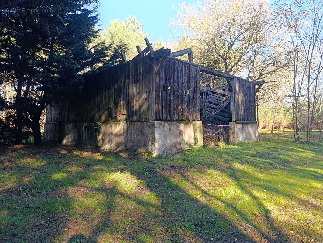 Maison à LINXE