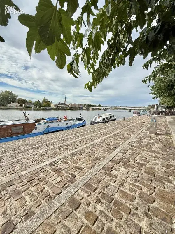 Saint-jean-de-losne – maison de caractère de 284 m² – terrain de 1 224 m² – dépendances et fort potentiel - photo 40