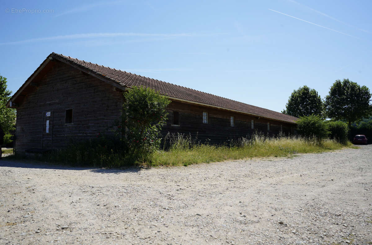 Haras du mas de meyrie - photo 22