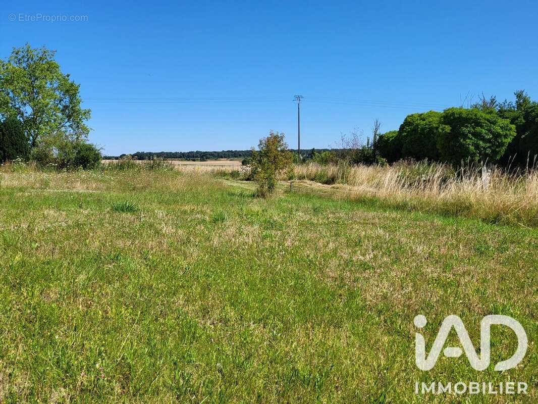 Terrain 1100 m² à Bouchy-Saint-Genest  - photo 2