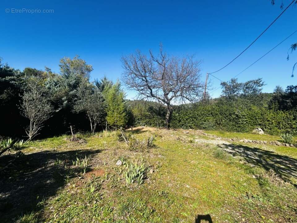 Terrain 467 m² à Le Thoronet  - photo 3