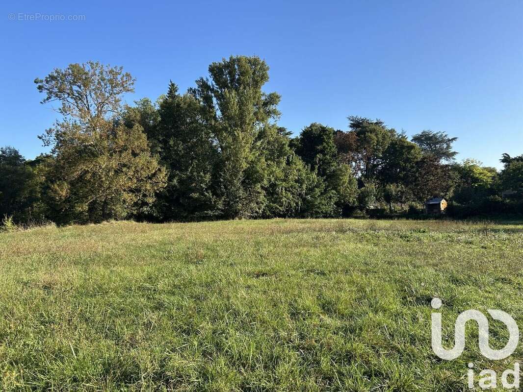 Photo 2 - Terrain à CASTELGINEST