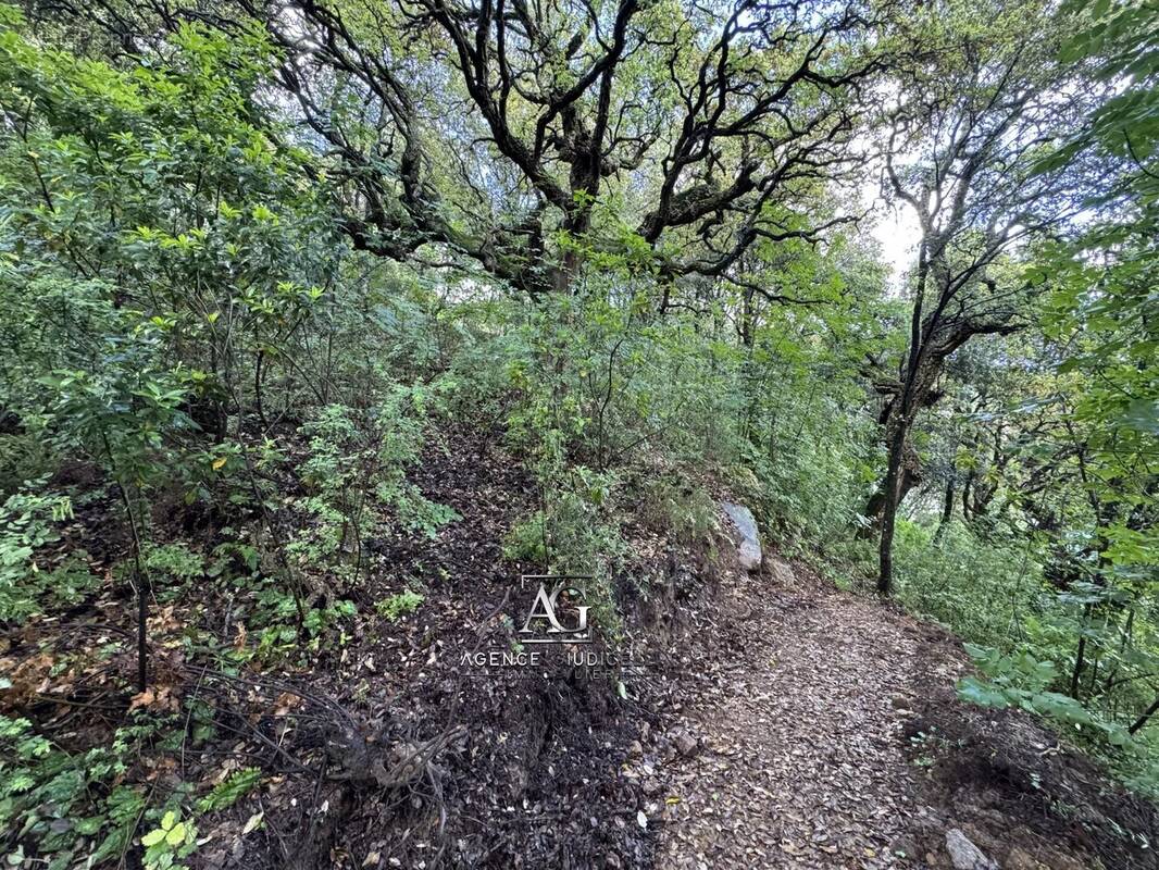 Terrain à VALLE-DI-MEZZANA