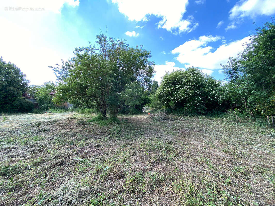 Terrain à MOISVILLE