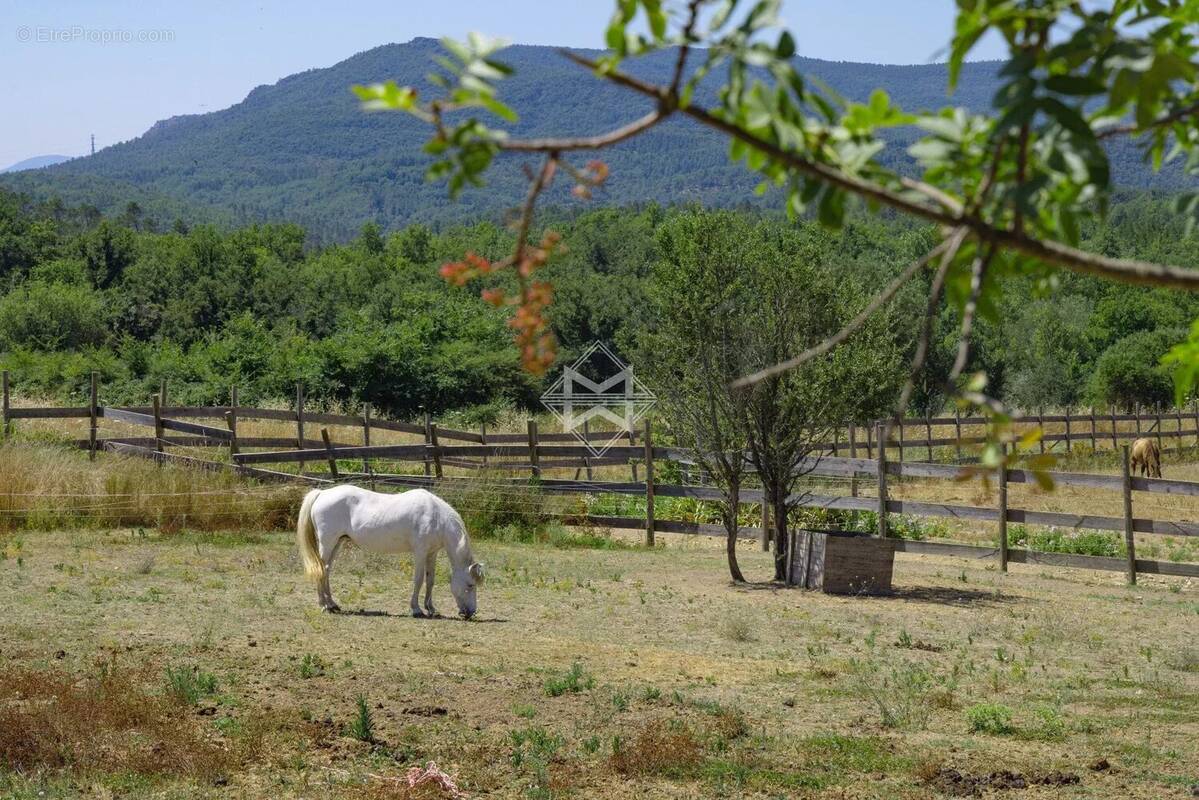 Canton de Fayence – Mas ancien - photo 3