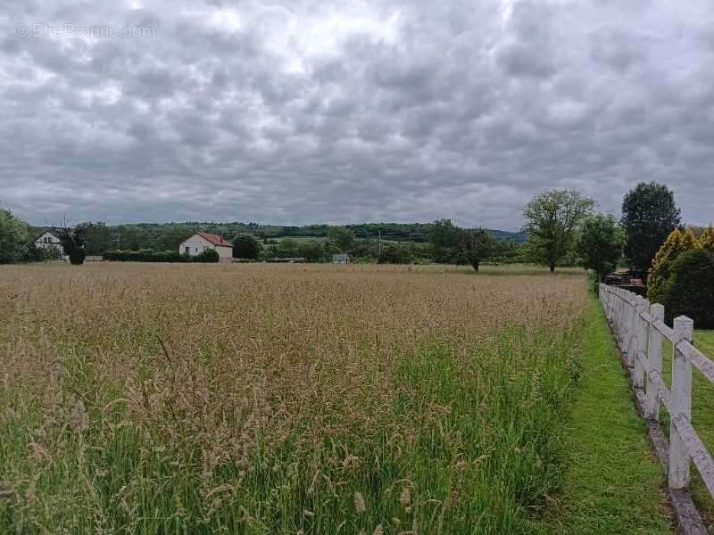 Terrain viabilisé - photo 3