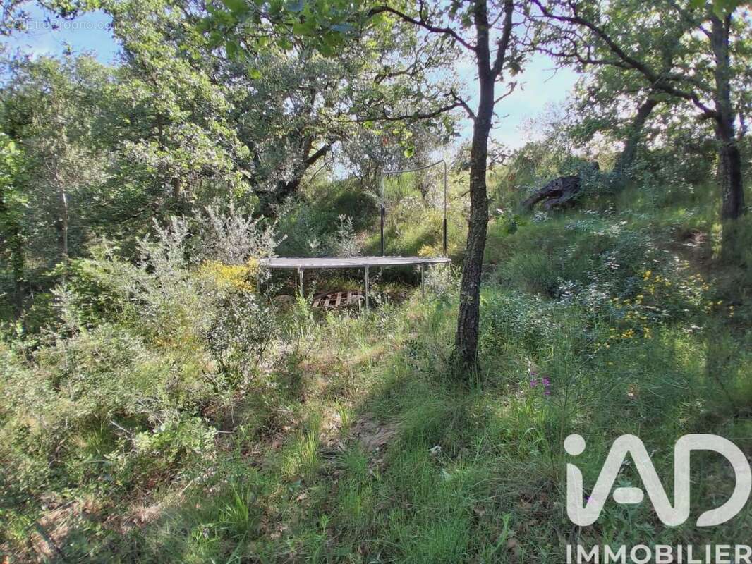 Photo 7 - Terrain à BROUILLA