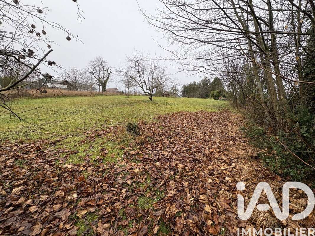 Photo 4 - Terrain à SAVERNE
