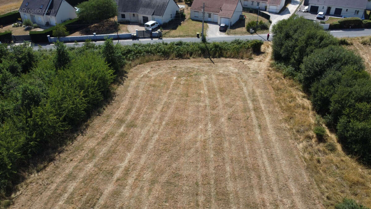 Terrain a batir à pruniers en sologne - photo 6
