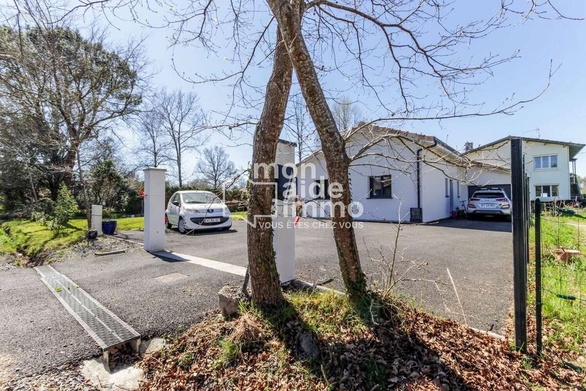 Maison à SAINT-MICHEL-ESCALUS