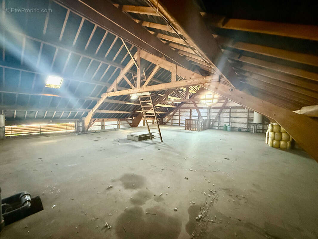 Commerce à SAINT-MALO