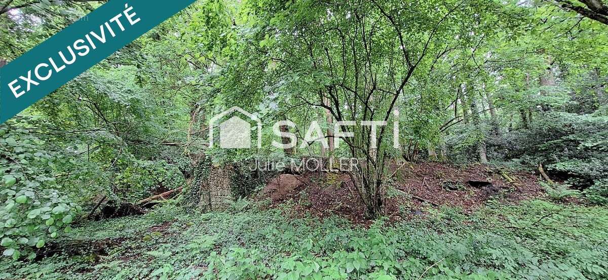 Photo 4 - Terrain à GUERET